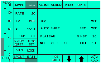Secondary Menu-Sigh, Auto Shift, Plateau, Nebulizer